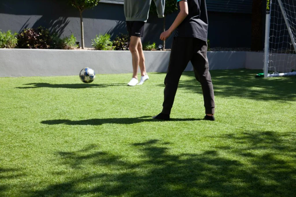 Managing Lawn Traffic Stress - Playing