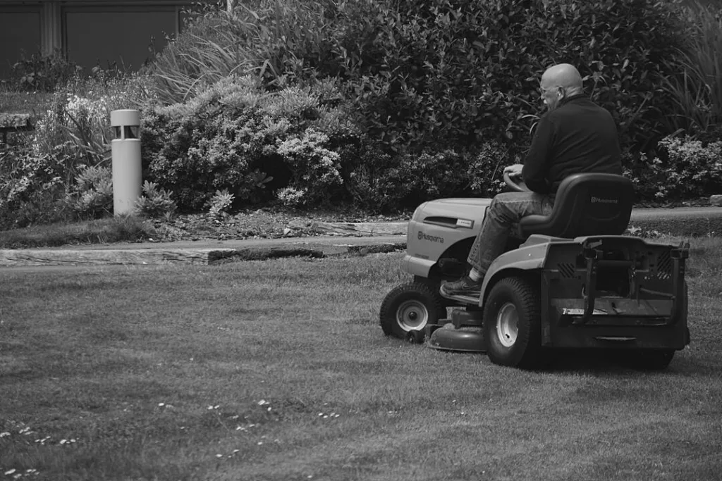 St. Augustine Grass Mowing