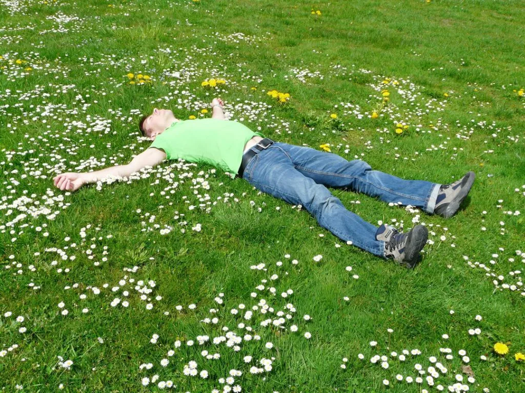 Seasonal Lawn Maintenance Tips Rest